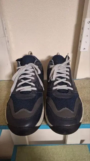 REPRODUCTION OF FOUND BRITISH TRAINER