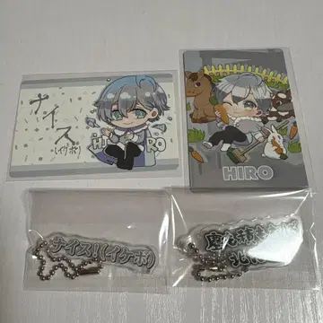 카라피치 전시회 컬러풀 피치 뮤지엄 트레이딩 카드 키링 히로