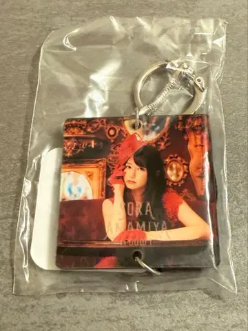 아마미야 텐 레코드형 키링