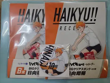 하이큐!! 히나타 쇼요 아크릴 스탠드, 캔뱃지