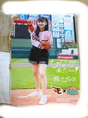 사쿠라 히나노 이기다리 도호쿠산 백참