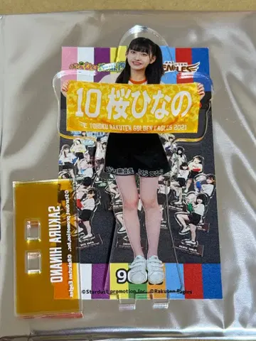 사쿠라 히나노 아크릴 스탠드 이기나리 도호쿠산