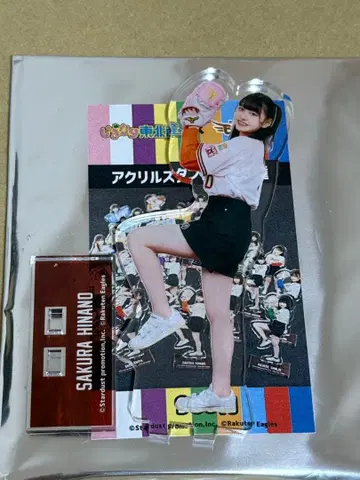 사쿠라 히나노 아크릴 스탠드 이기다리 도호쿠산 2