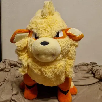 포켓몬 윈디 봉제 인형 bigMore