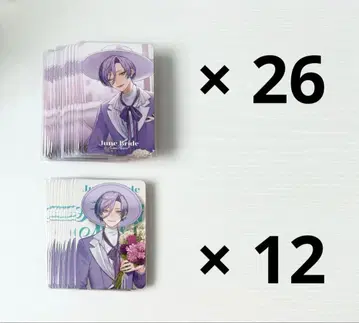 사카키네스 니지산지 3SKM 폴라로이드 포토 카드 사진풍 카드 준브라