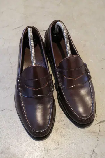 아렌 에드몬즈 로퍼