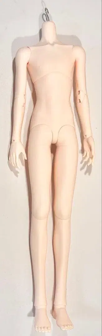 LUTS MUSE 바디 1/3 루츠 뮤즈 인형 바디 본체