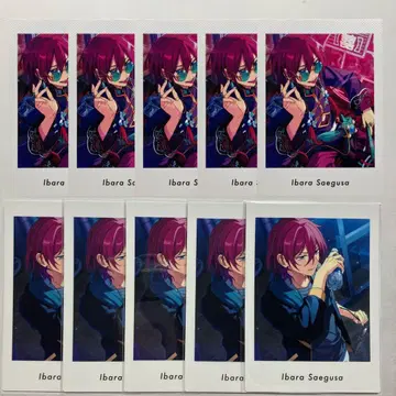 앙스타 이바라 파샤츠 vol.5 A vol.4 P 10개