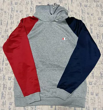 Champion 컬러 블록 후드티