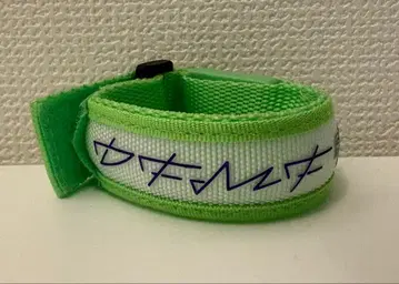 RIP SLYME 립슬라임 DFMF 브레스 라이트 그린