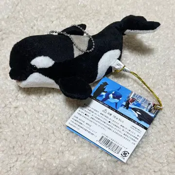 범고래 봉제 인형 나고야항 수족관 S 사이즈