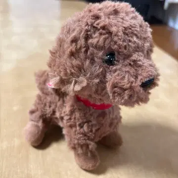 토이 푸들 봉제 인형
