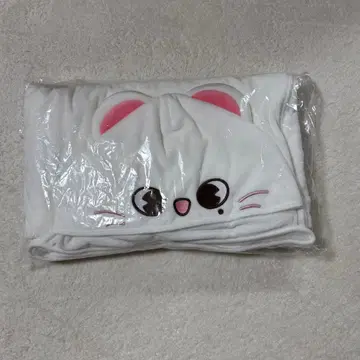 straykids 현진 jiniret 담요