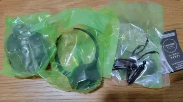 생물대도감 어드밴스 코카서스장수풍뎅이 (자바섬)