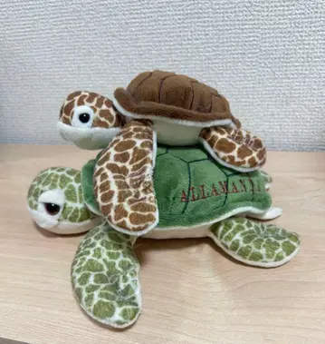 거북이 봉제 인형 세트