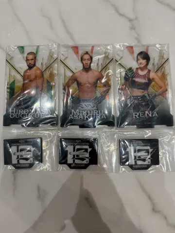 RIZIN 제일복권 아사쿠라 미쿠루 A상