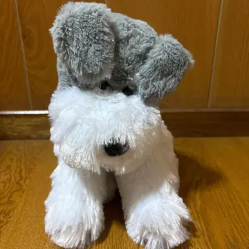 귀가 움직이는 흐물흐물 슈나우저