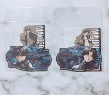 WILD ADAPTER 와일드 어댑터 스티커 쿠보타 토키토