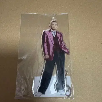 D리그 Segasammy Lux HINATA 아크릴 키링