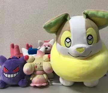 포켓몬 봉제 인형 마휘핑 고스트 완창 묶음 판매 새상품 택 포함