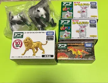 아니아 골드 라이온 외