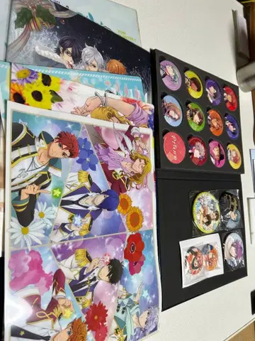 핀 배지 17개와 파일 5개