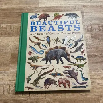 Beautiful Beasts [뷰티풀 비스트] 레어