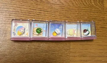 냥냥냥코 핀즈 컬렉션 5개 세트