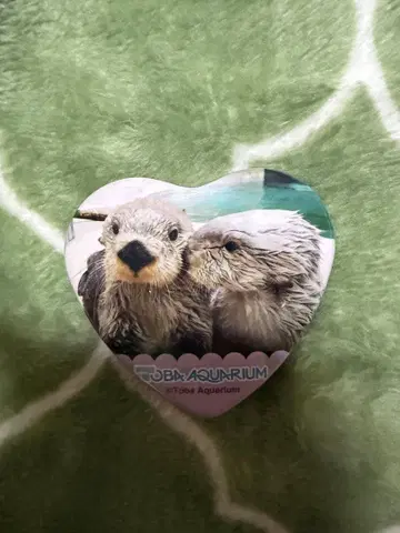 하트형 캔뱃지 메이&키라 사이좋은 캡슐 복권 토바 수족관