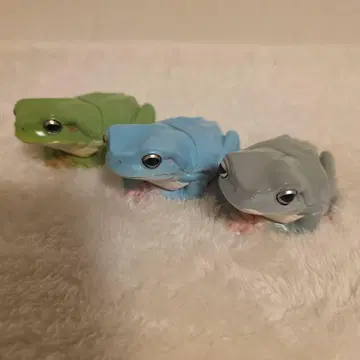 커다란 집청개구리 [ 3색 ]