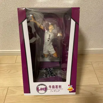 하이큐!! 우시지마 와카토시 피규어 세트