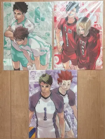 하이큐 원화전 하이큐전 클리어 파일 네코마 토리자와 아오바죠사이