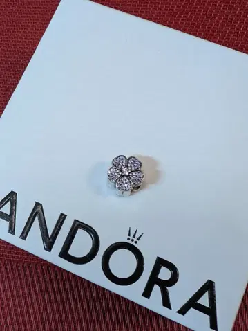 판도라 꽃 모양 참 보라색