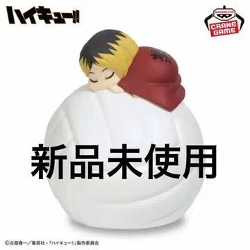 미사용 새상품 하이큐!! 스야스야 룸 라이트 - 코즈메 켄마 -