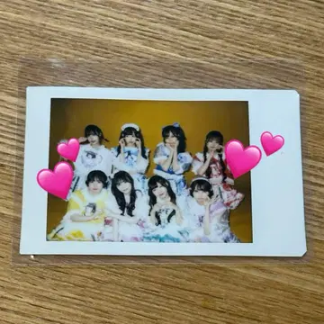 논픽션! 여름 한정판 T셔츠 의상 집합 폴라로이드