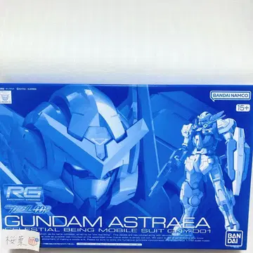 건담 프라모델 rg 건담 엑시아용 건담 아스트레아 부품 세트 미개봉