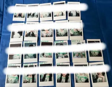 텐신란만 오다 코윤 폴라로이드