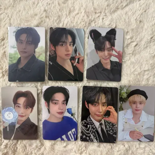 제베원 김지웅 포카 앨포 팬키트 응원봉 7만원 특전 고양이귀 미공포