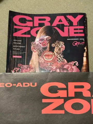 GRAYZONE 2018년 12월