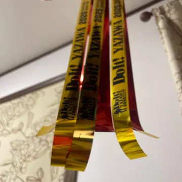 야자와 에이요시 LIVE 무도관 [ Do It! YAZAWA 2025 ]