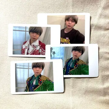 팬더드래곤 아즈 하피카