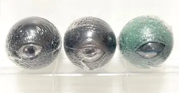 키탄클럽 백베어드 라이트 마스코트 3점 세트