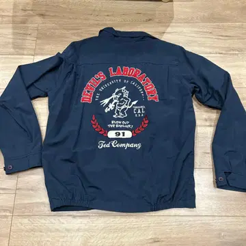 데빌 TEDMAN 테드먼 자켓 나일론 블루종 얇은 소재 카미나리