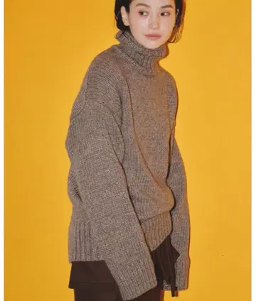 todayful heavy turtle knit