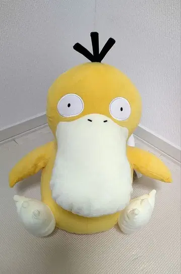 코닥 봉제 인형 빅