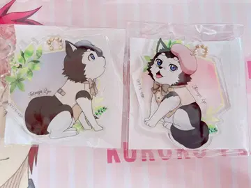 보타니컬 컬렉션 테츠야 2호 키링 아오미네 ver 아카시 ver 세트