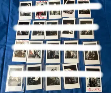 신귀 마나세 마자리 의상 폴라로이드 20장 세트