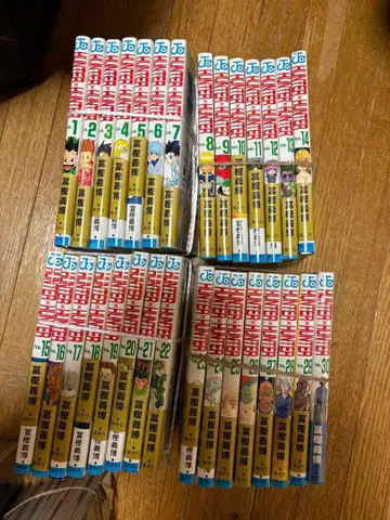 헌터헌터 전권 세트 (1-30권)