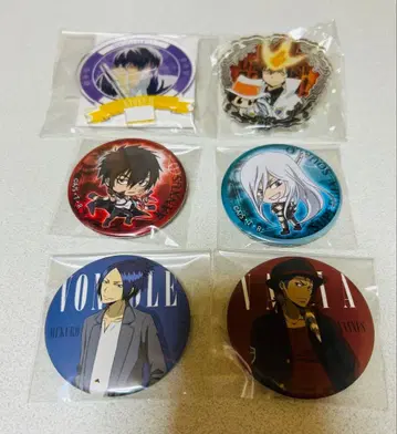 가정교사 히트맨 REBORN! 아크릴 배지 츠나