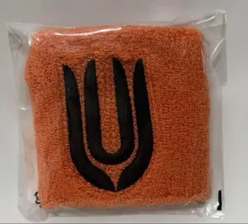 UNISON SQUARE GARDEN 리스트 밴드